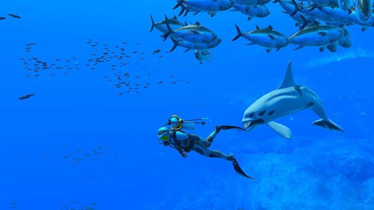 Endless Ocean Luminous Nintendo Switch Gioco Italiano Nuovo Videogioco Sigillato - Immagine 3