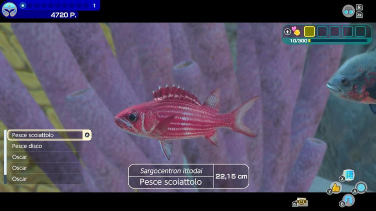 Endless Ocean Luminous Nintendo Switch Gioco Italiano Nuovo Videogioco Sigillato - Immagine 5