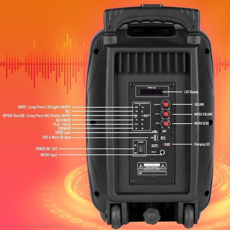 NGS SPEAKER WILD SAMBA PORTATILE BT + MIC RICARICABILE 30W CASSA BLUETOOTH - Immagine 3