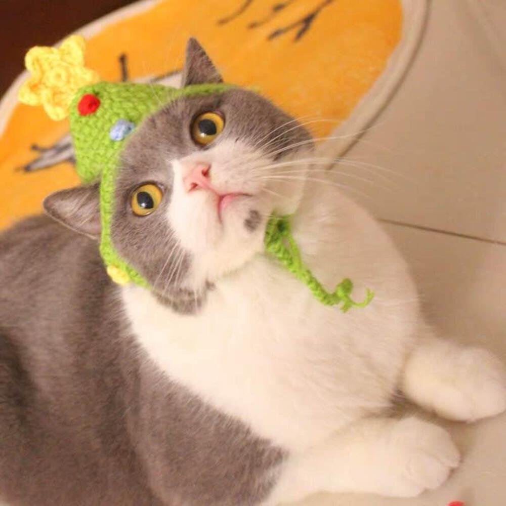 Sombrero de árbol de Navidad de ganchillo a mano para gato o perro - Imagen 3 de 4
