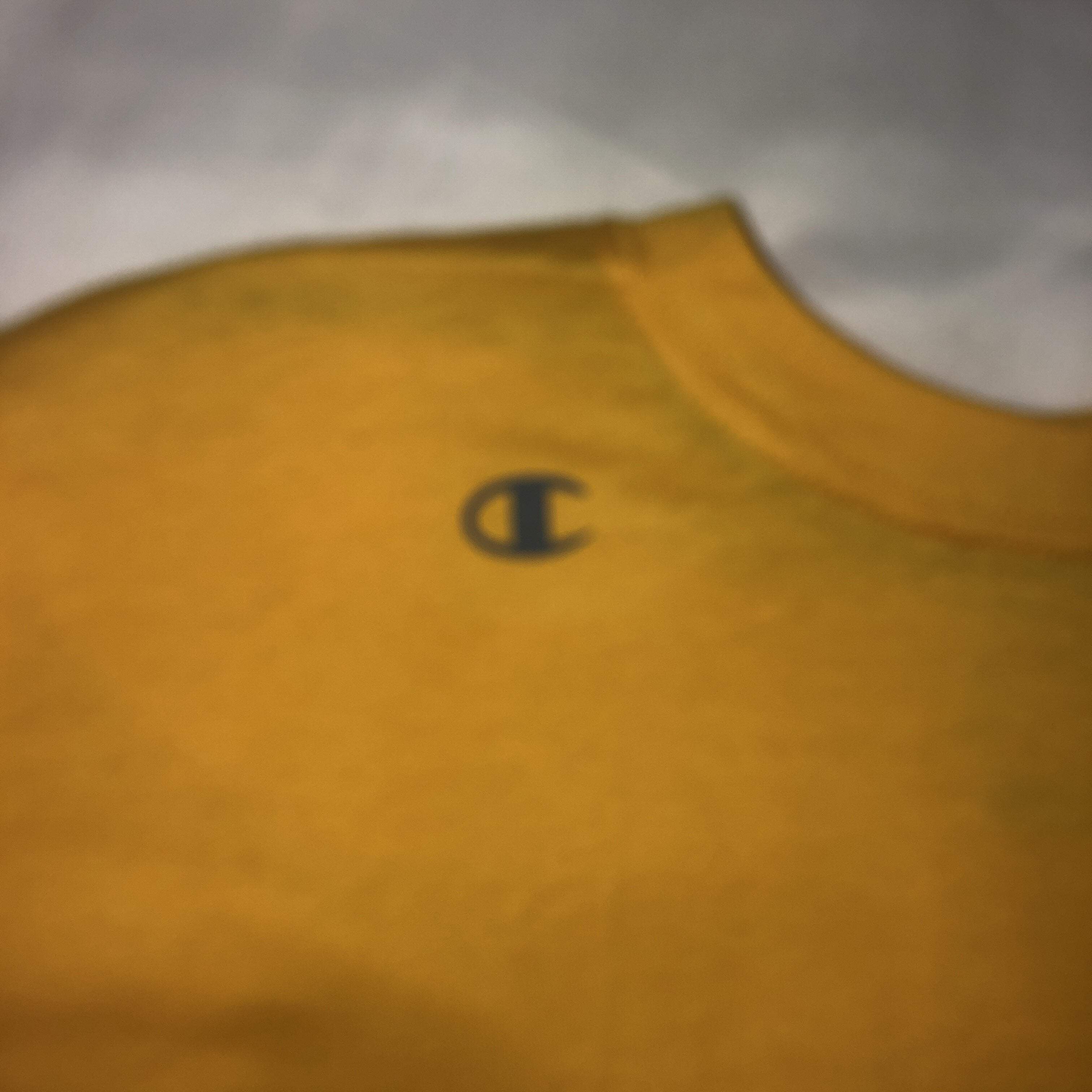 Champion T385 Big Boys' Double Dry Vapor Cotton Short Sleeve Athletic Tee - Imagen 20 de 21