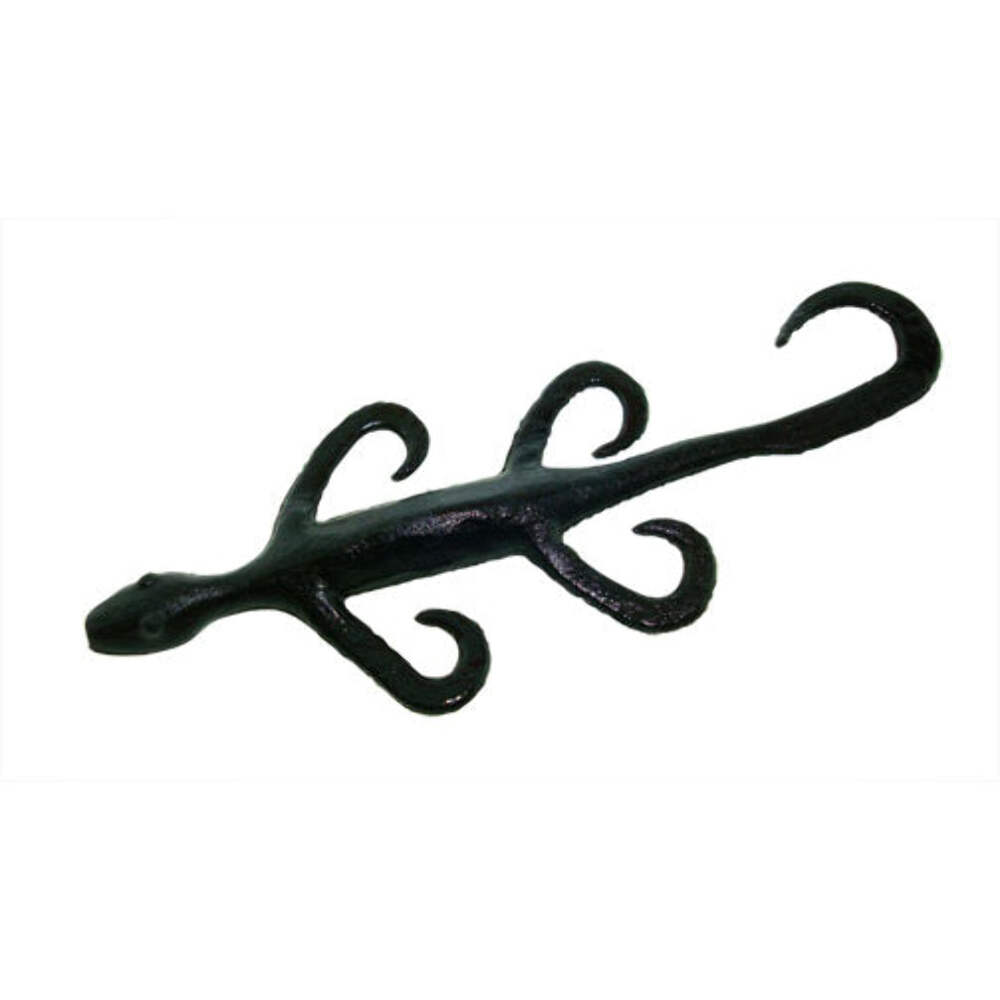 Zoom Lizard - Picture 2 of 33