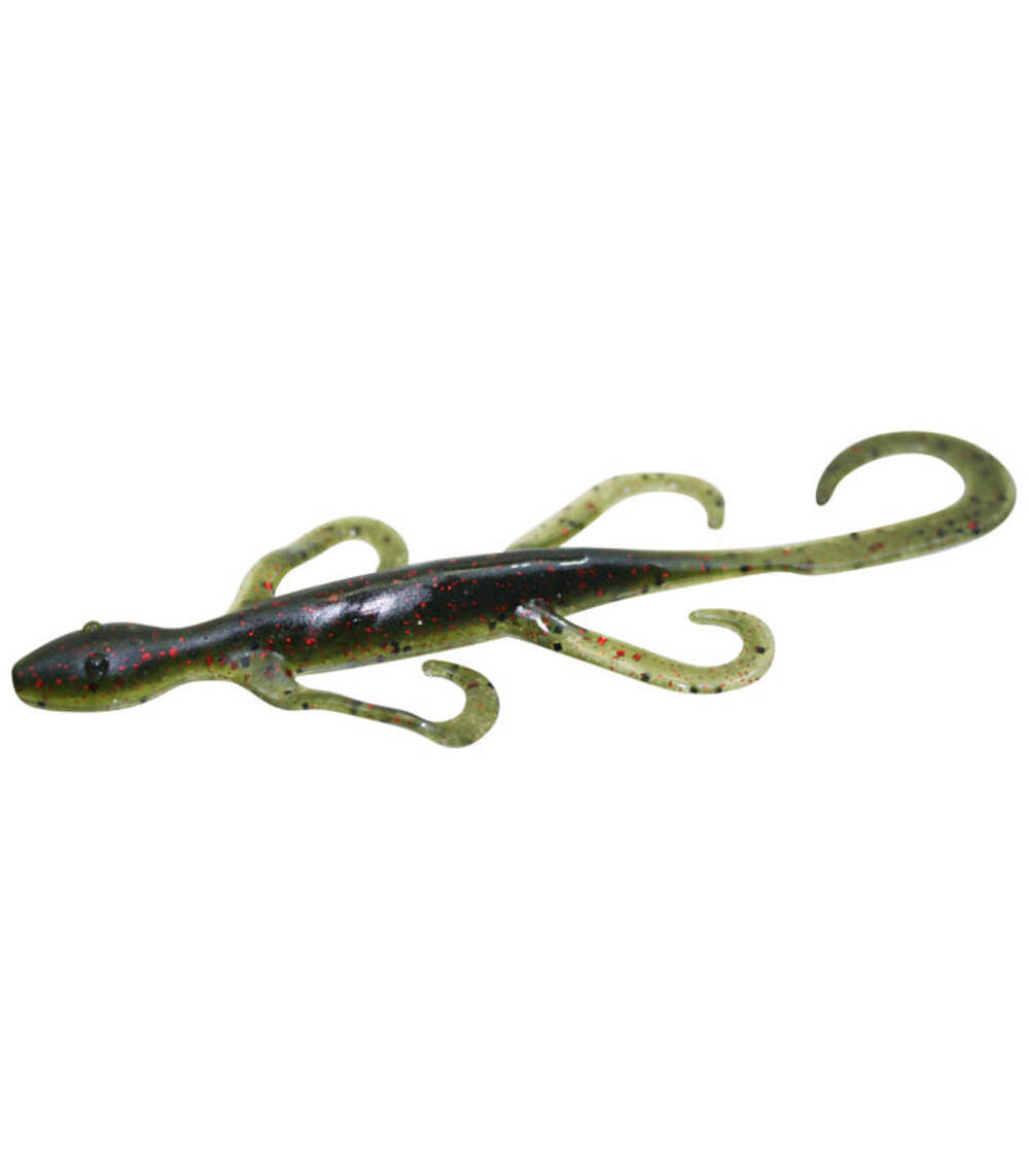 Zoom Lizard - Picture 6 of 33