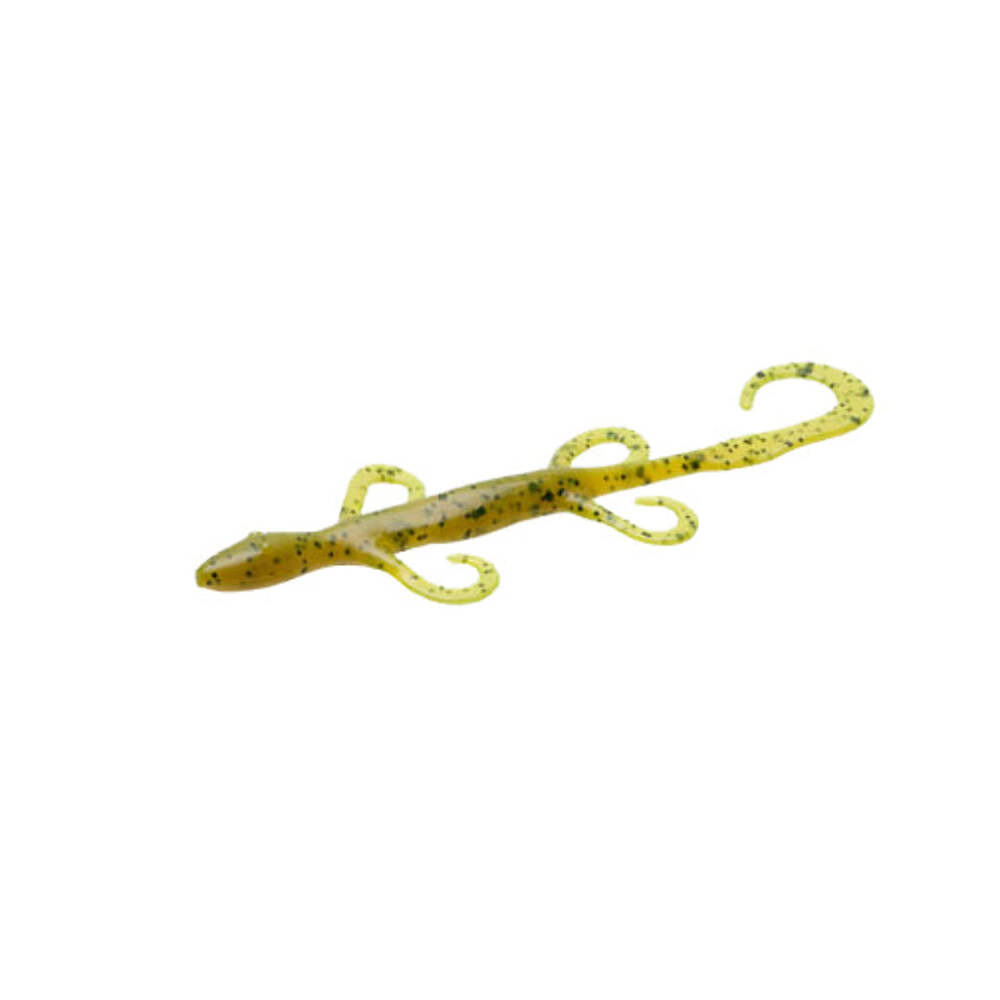 Zoom Lizard - Picture 14 of 33