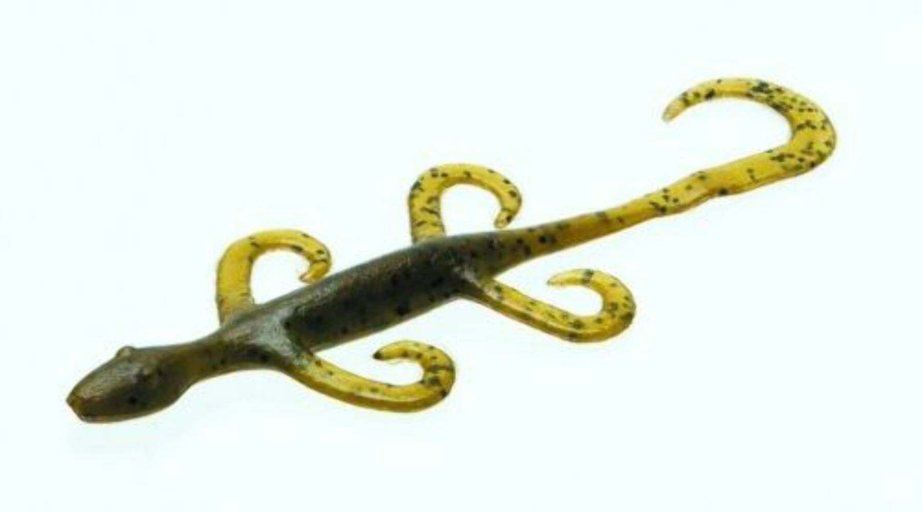 Zoom Lizard - Picture 15 of 33