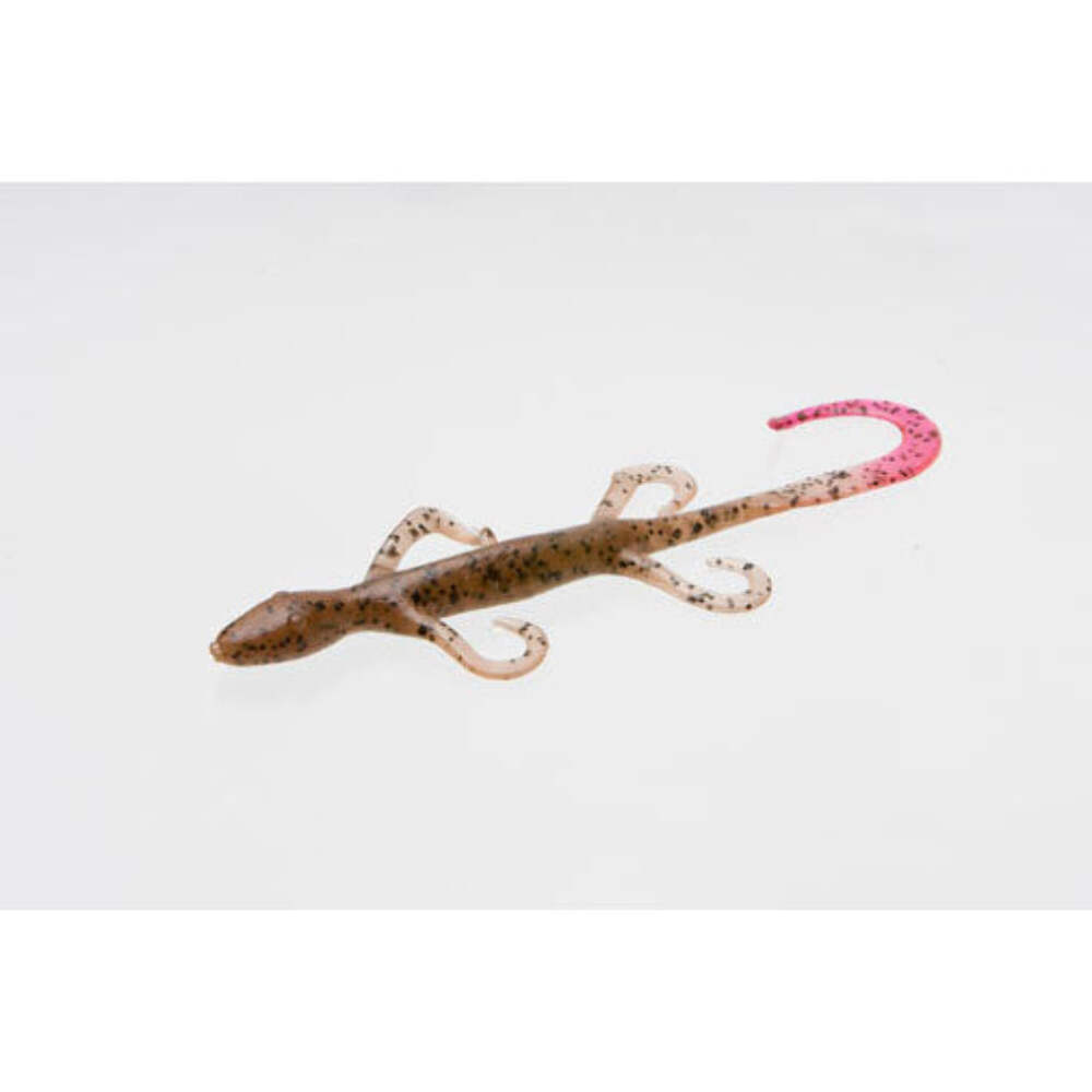 Zoom Lizard - Picture 28 of 33