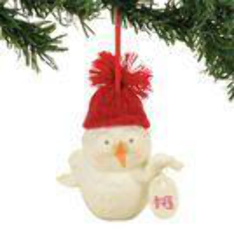 Department 56 Snowpinions Wise Old Bird Hanging Ornament