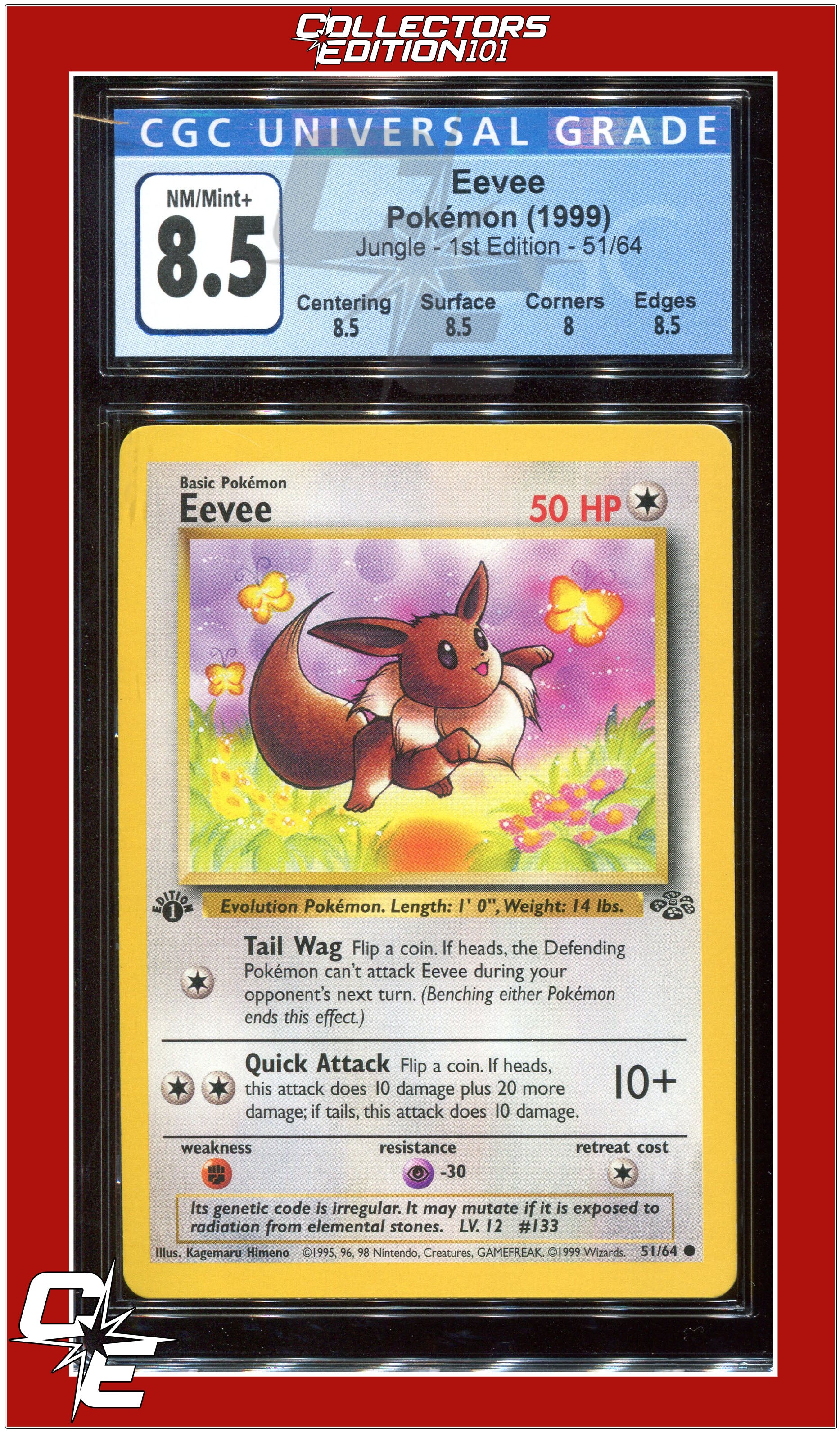 英語版初期　ポケモンカード　Eevee 1st Edition 2764_0.jpeg?etag=