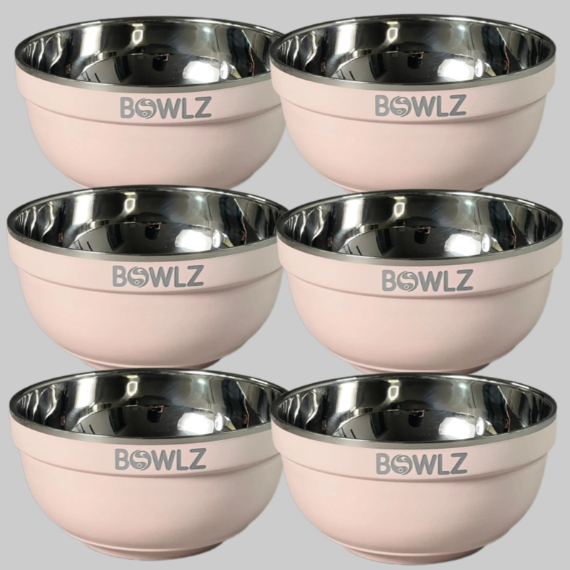 BOWLZ Stainless Steel Insulated Bowl 16 oz, Ice Cream, Soup, White (New)