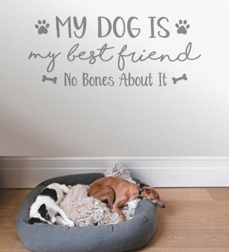 Mon Chien Est Mon Meilleur Ami Autocollant Mural Mur Chick Decal Art Sticker Citation Ebay
