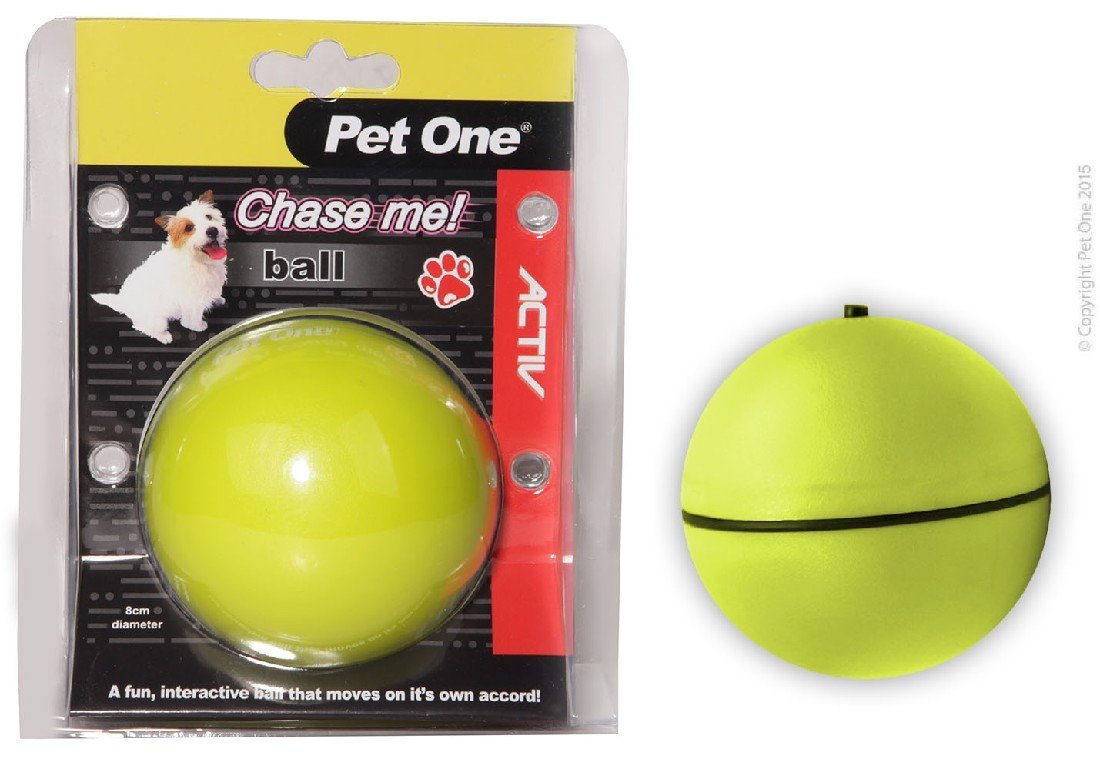 dog ball that moves on its own