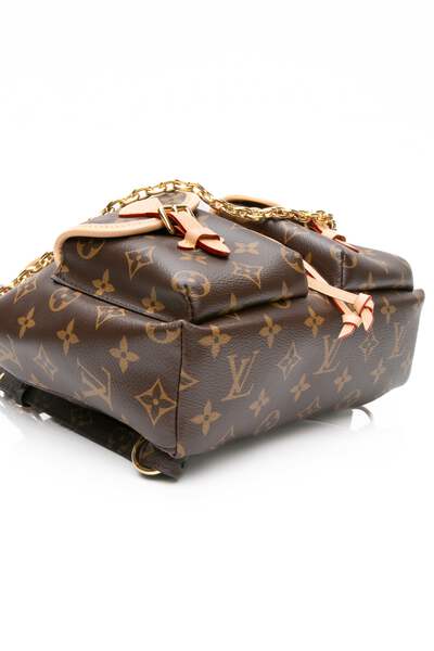 LOUIS VUITTON Monogram Excursion PM Backpack | eBay