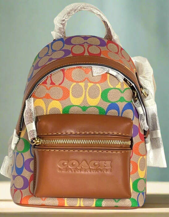 Coach Charter Backpack 18 Rainbow Signature Brown Small