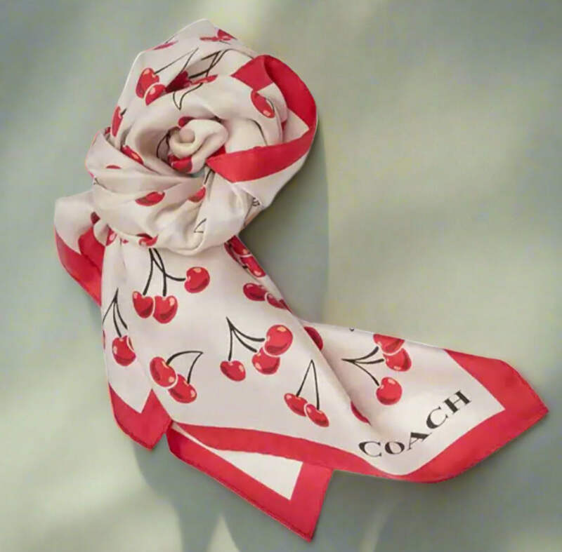 8448.png?width=800&etag=