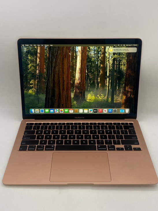 Apple - MacBook Air 2020 i3  8 GB 256 GB (A2179) 614cRebMvmL._UF350,350_QL50_.jpg