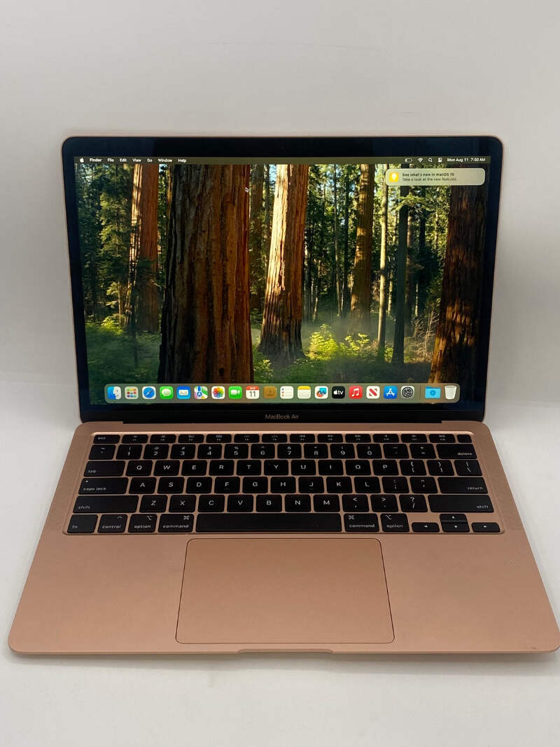 MacBook Air Retina A2179 2020 ローズゴールド ROSE GOLD Apple MacBook Air 13 Inch 8-CORE I3 2020 Retina