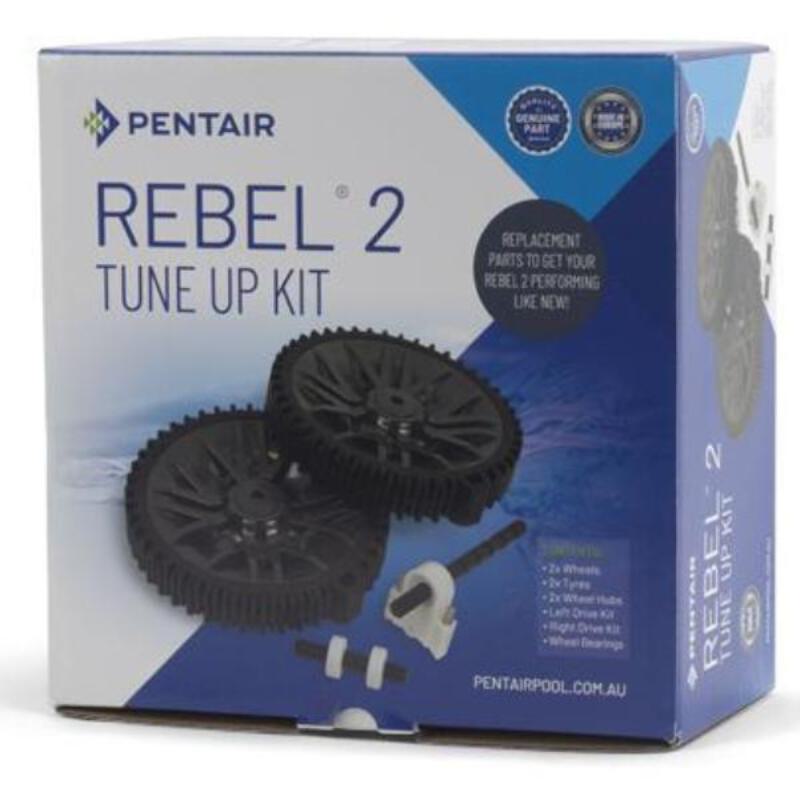 Pentair Rebel Tune Up Kit Ebay
