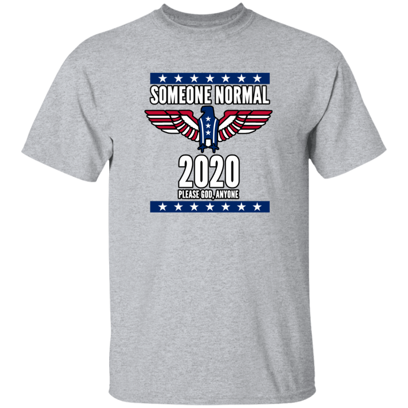 Someone Normal 2020 Funny Us President Election Politics Campaign Vote T Shirt Ebay