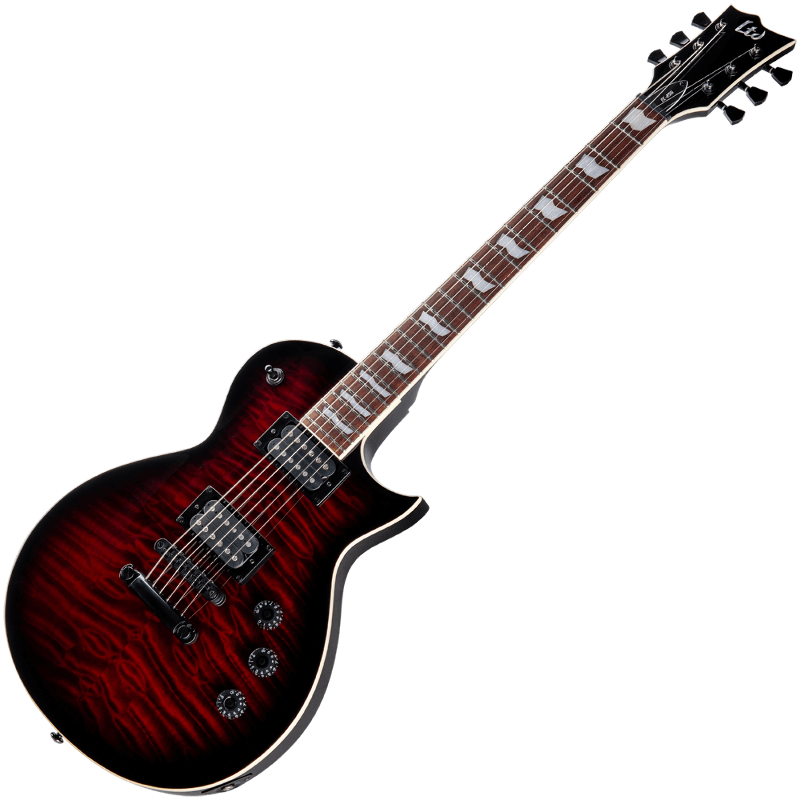 のえみりページ★45 ESP LTD EC-256 QM See Thru Black Cherry Sunburst
