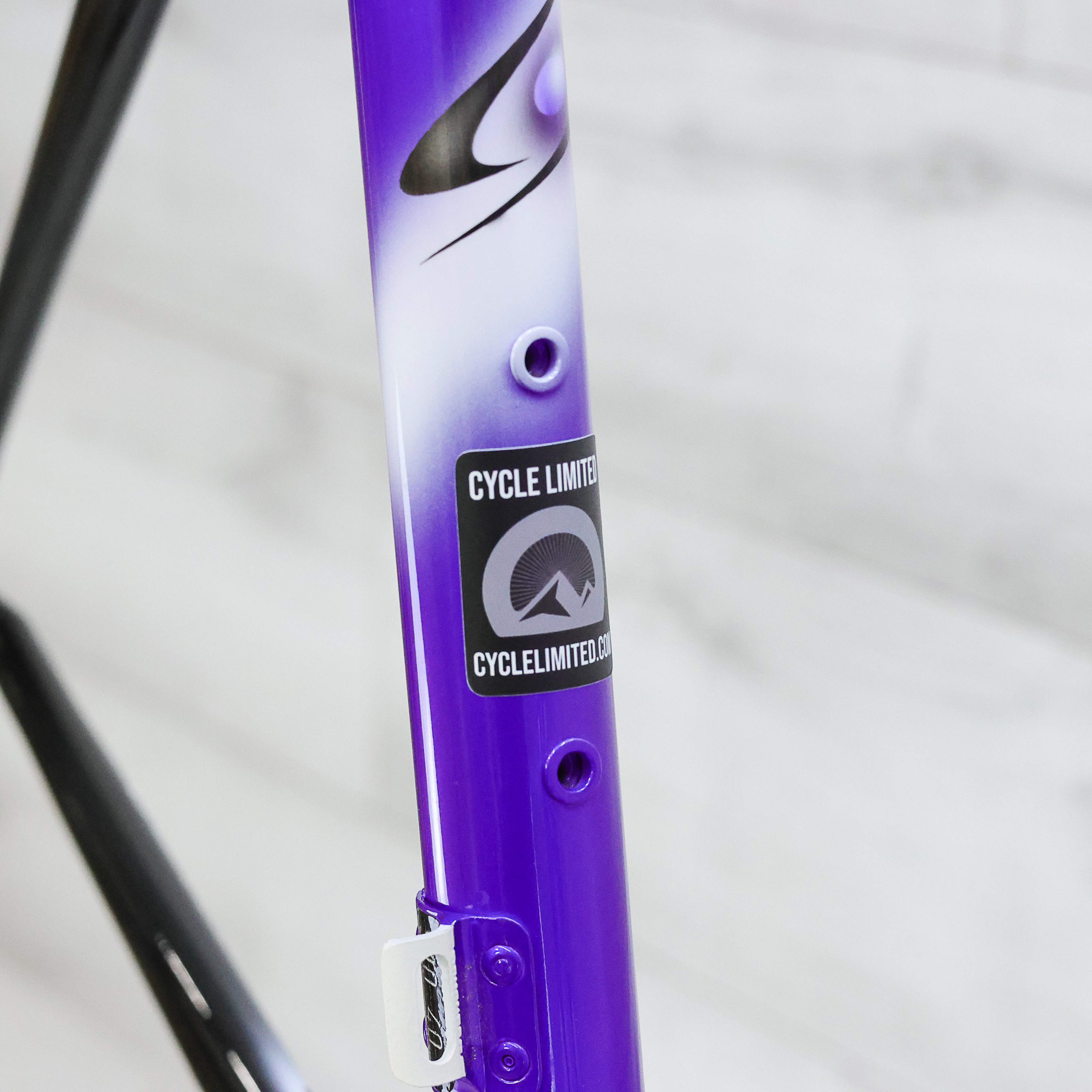 COLNOGO 「コルナゴ」 DREAM B-STAY 2004年モデル ロードバイク Colnago Dream B Stay Road Bike Frameset - 2004, Small | eBay