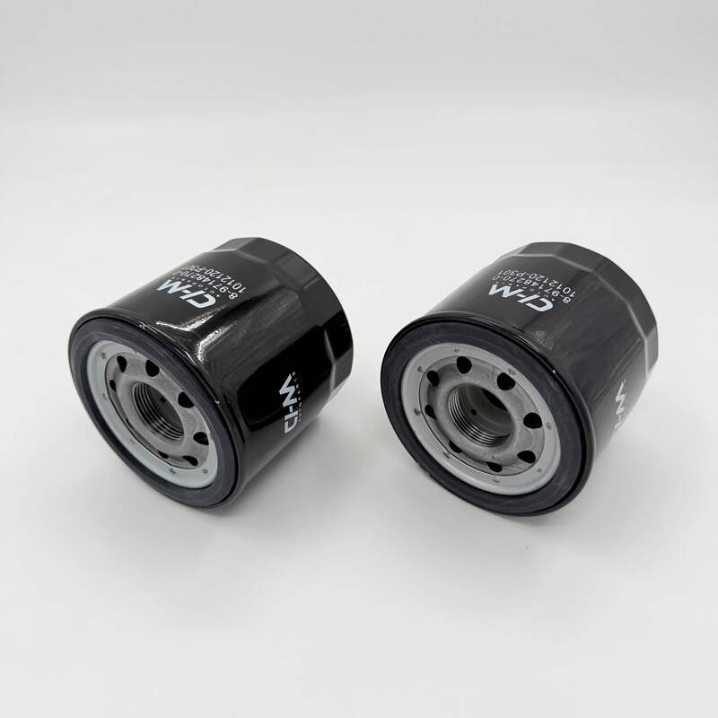 2x Element Oil Filter For Isuzu NPR NPR-HD NQR NRR 4HK1 5.2L 4HE1