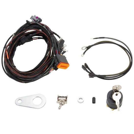Sportster Treatment Custom Wiring Harness Kit 2004-2006 Harley