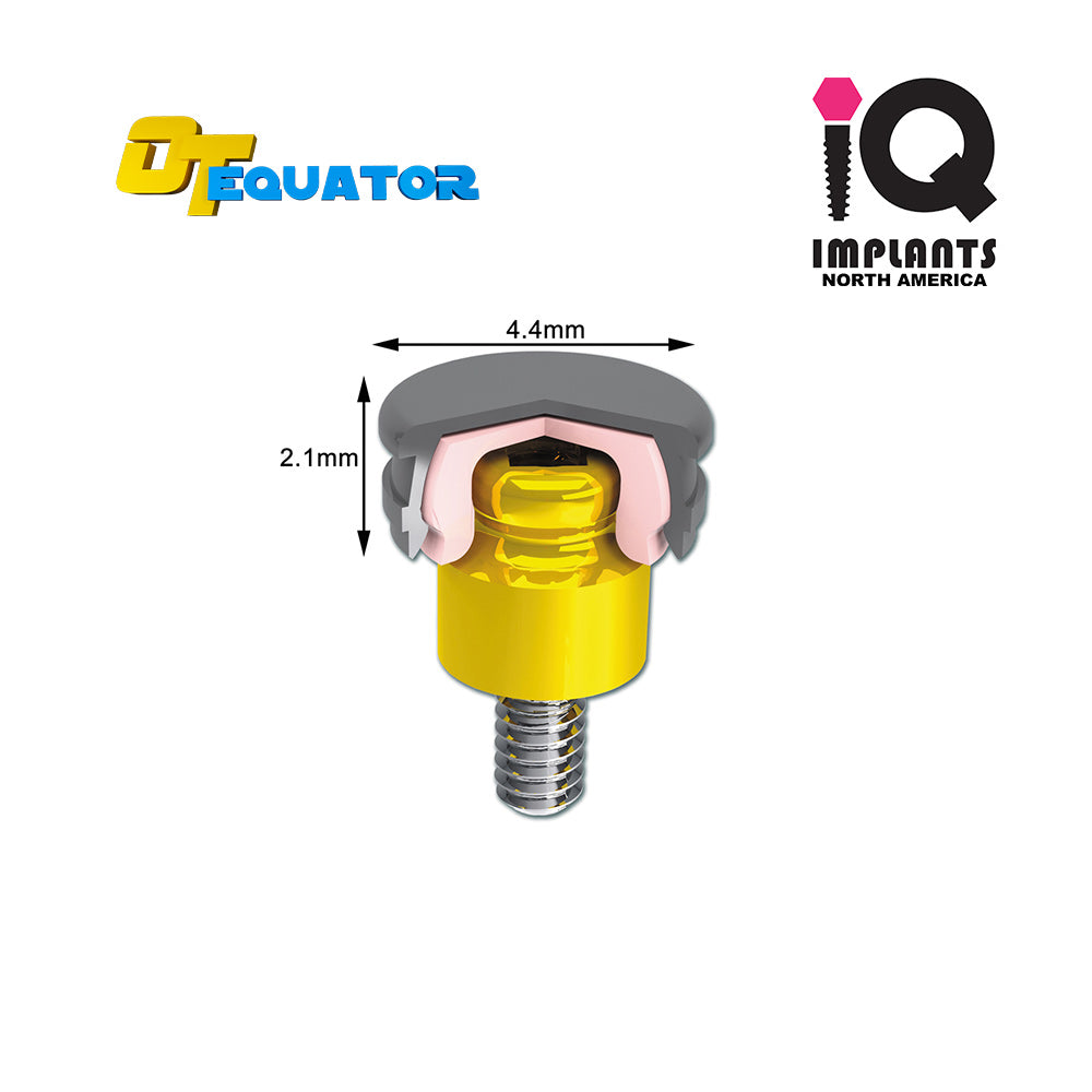 IQ-Rhein EQUATOR OD Secure Replacement Caps Rigid, Violet 2.7kg