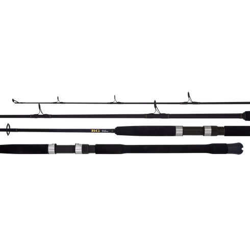 Daiwa 22 BG Bluewater Rod Australia