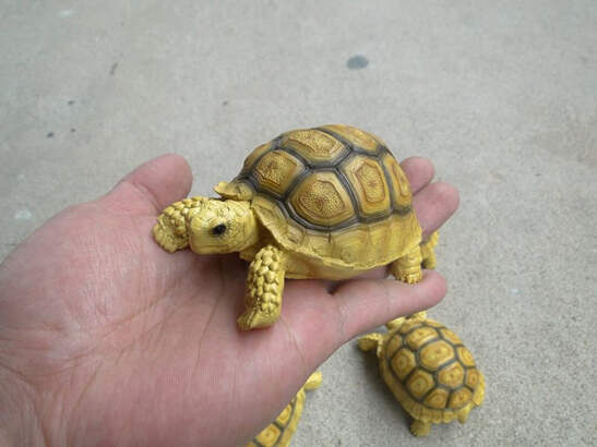 1:1 Life Size Baby Geochelone sulcata Tortoise Turtle Replica