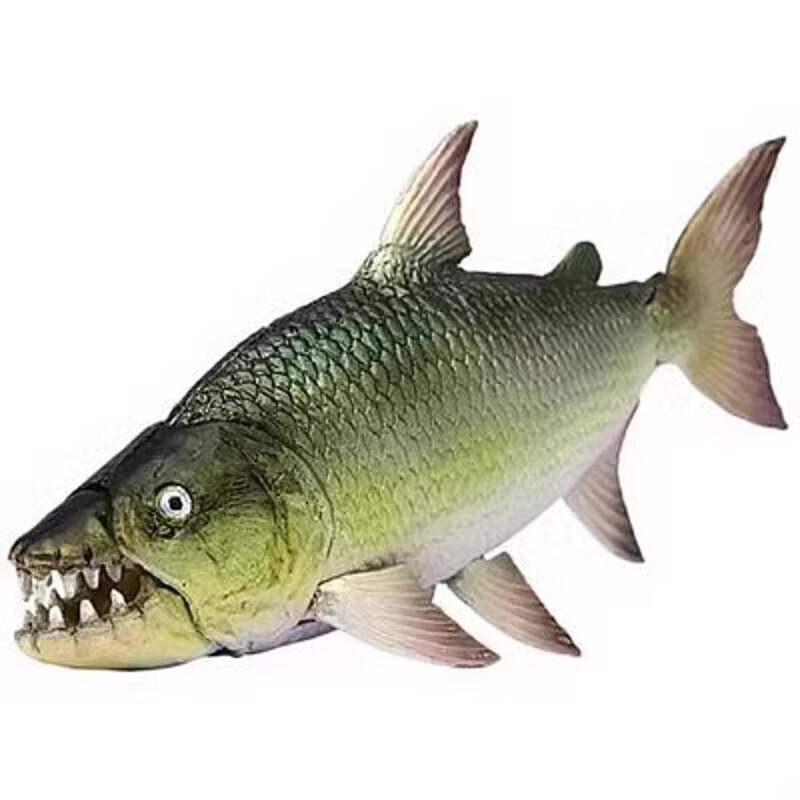 Africa Goliath Tigerfish Tiger Fish PVC Action Figure Model with Joints B |  eBay