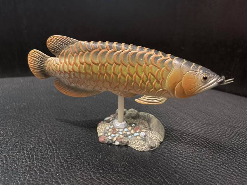 趣味・スポーツ・実用 The Asian Arowana by Goh & Chua 趣味