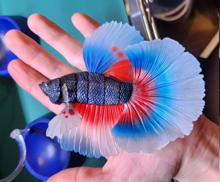 Siamese fighting fish betta fish PVC mini action figure model