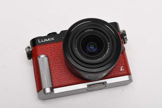 Panasonic Genuine DMW-HGR1 Hand Grip ONLY (Silver) for LUMIX DMC