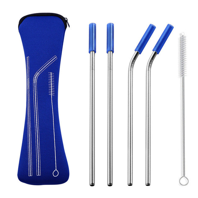 Reusable Stainless Steel Straw Set with Removable Silicone Tips