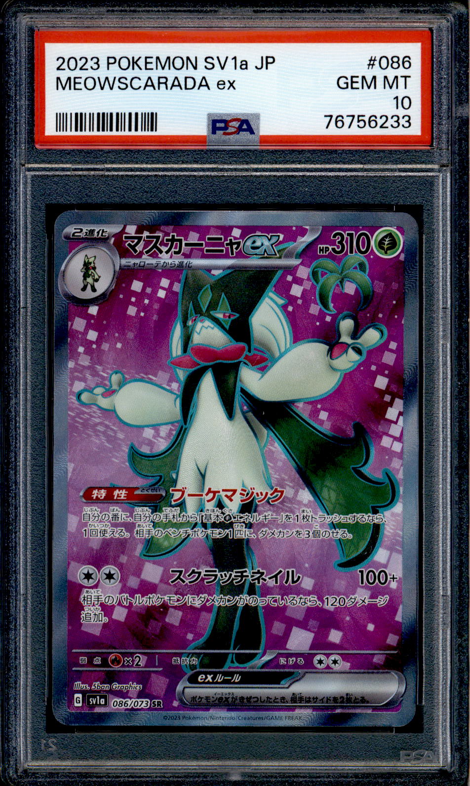 キハダsr psa10 キハダSAR psa10