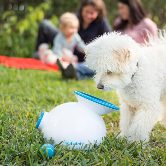 automatic dog ball thrower