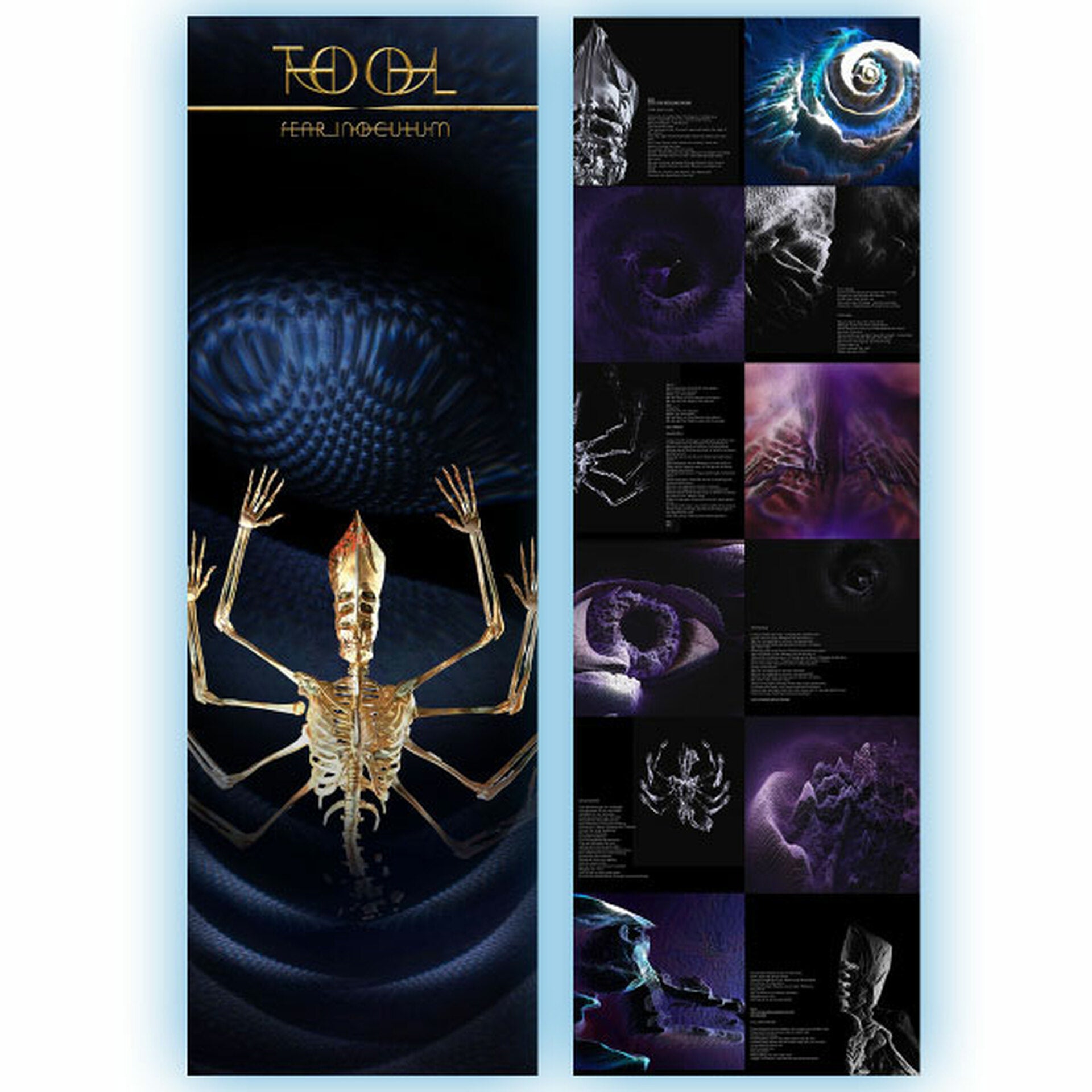 Tool - Fear Inoculum - LP | eBay