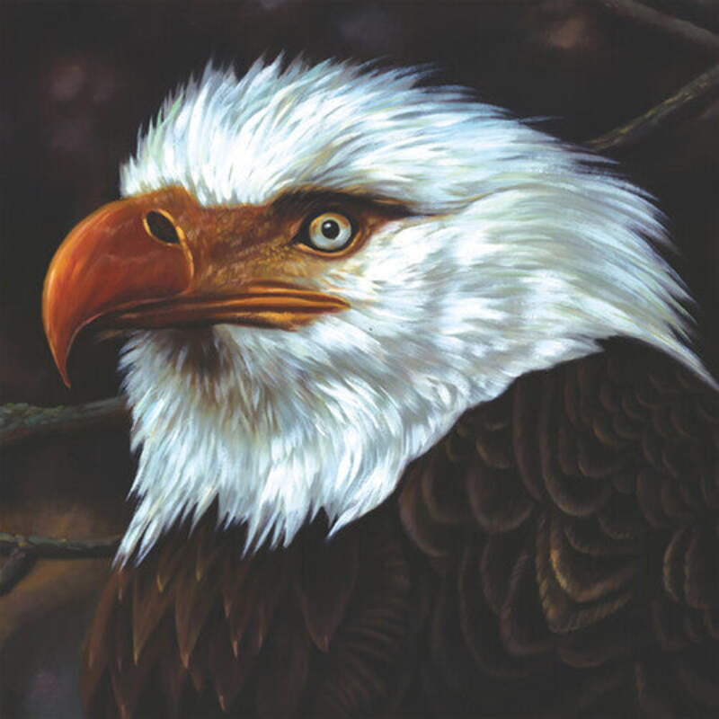 Mogwai - The Hawk Is Howling - LP | eBay
