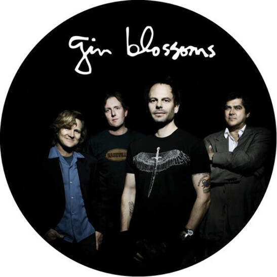 洋楽 Glacier LP Gin Blossoms - Live In Concert - Picture Disc LP | eBay
