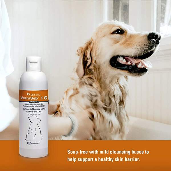 Vetraseb M 2 Ps Antibacterial Antifungal Pet Shampoo Dogs Cats