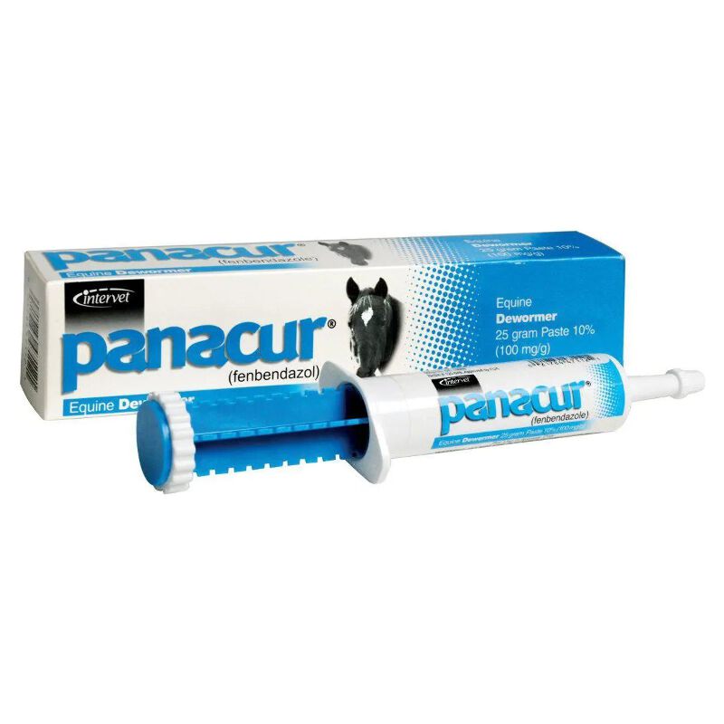 Panacur Equine Paste 10 Horse Wormer 25 Grams 21784471121 Ebay