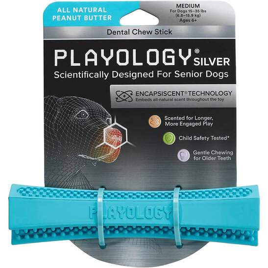 Pet Supplies : Playology Silver Dental Chew Stick Dog Toy for