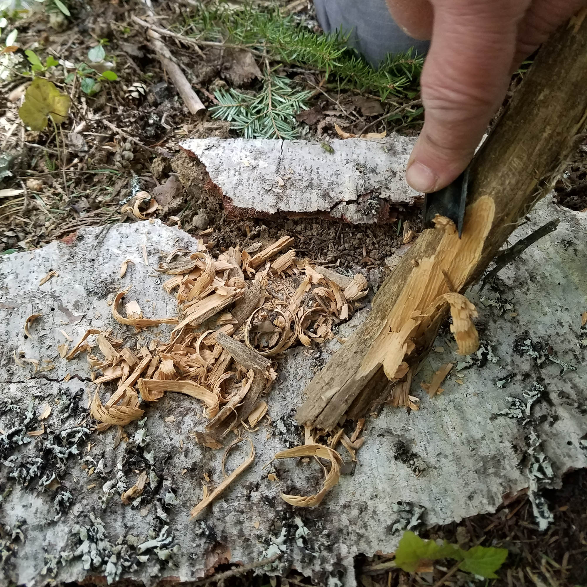 Coopers Bay® HexaLite X-Large Ferro Rod & FireWick Tinder Kit