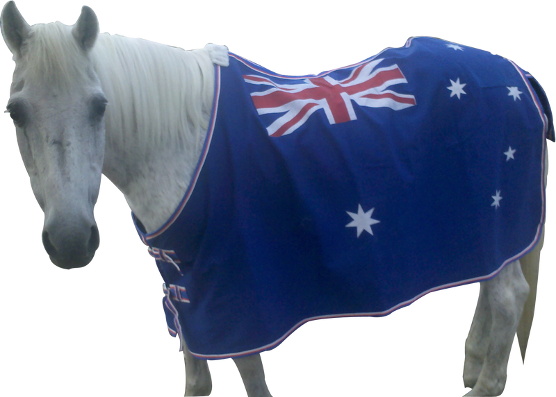 Australian Canvas Horse Rugs Bryont Rugs and Livings