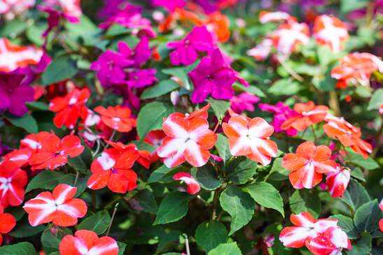 3028.png?width=547&etag=