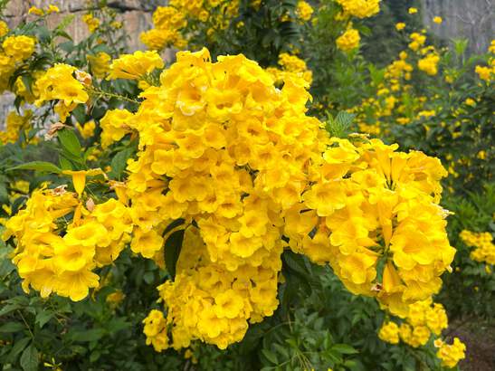 473.png?width=547&etag=