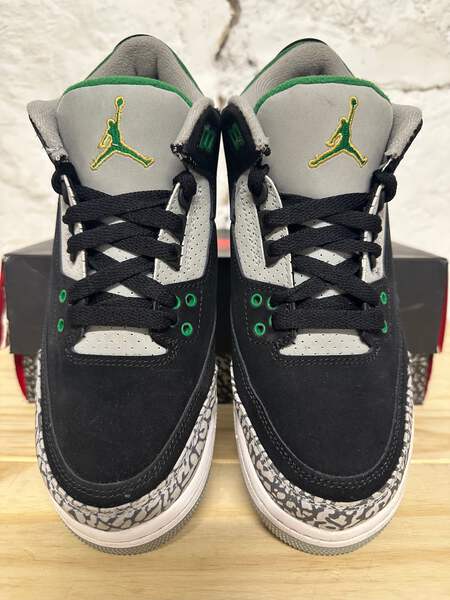 Air Jordan 3 'Pine Green' GS Size 6Y Pre-owned Sneakers 398614-030