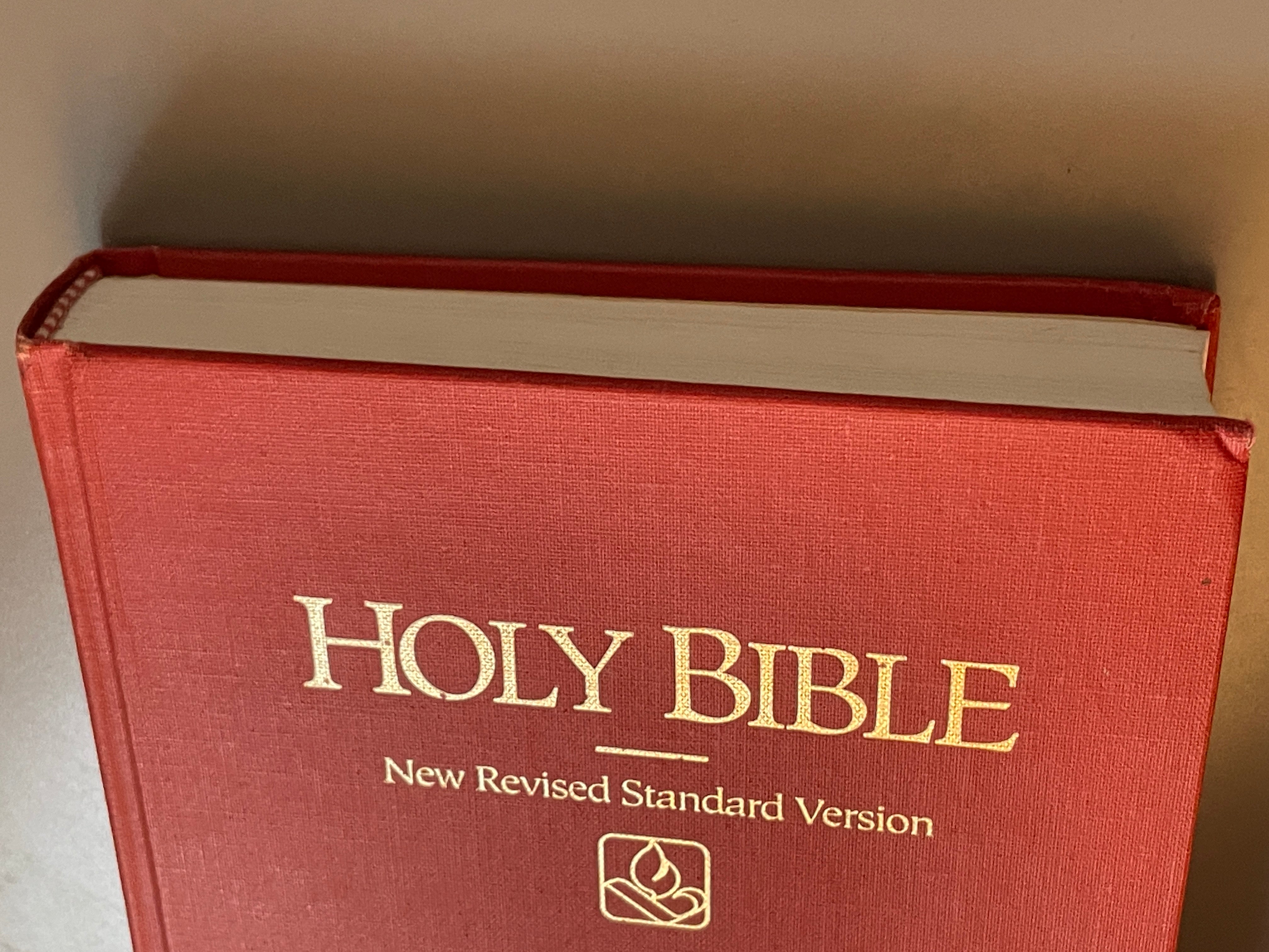 Holy Bible New Revised Standard Version Red 1989 NRSV World Bible