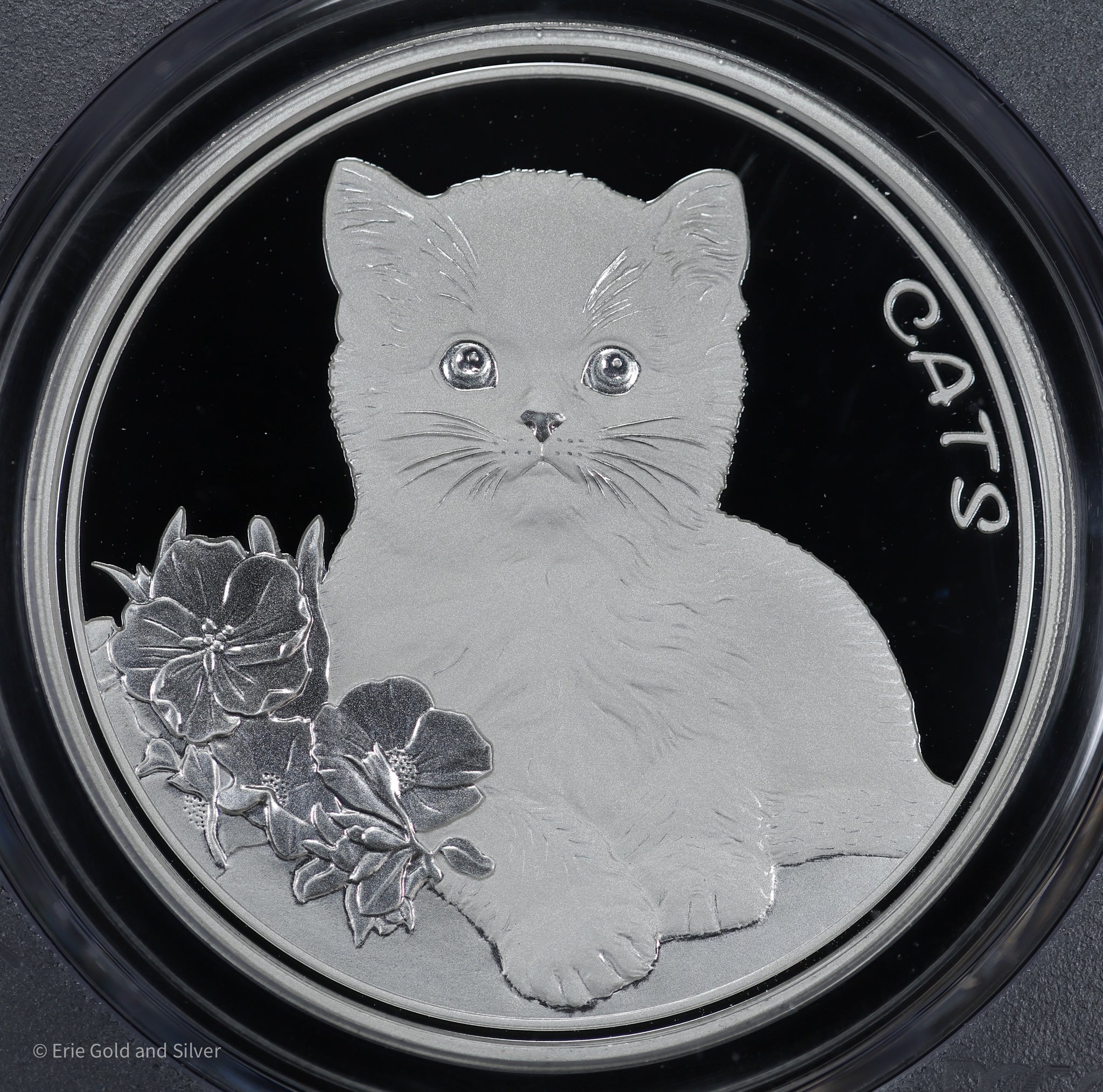 ILP　P.Silver Cat 銀猫 （OC） 2022 Fiji 50c 1 oz .999 Fine Silver PCGS MS69 | Cats | eBay