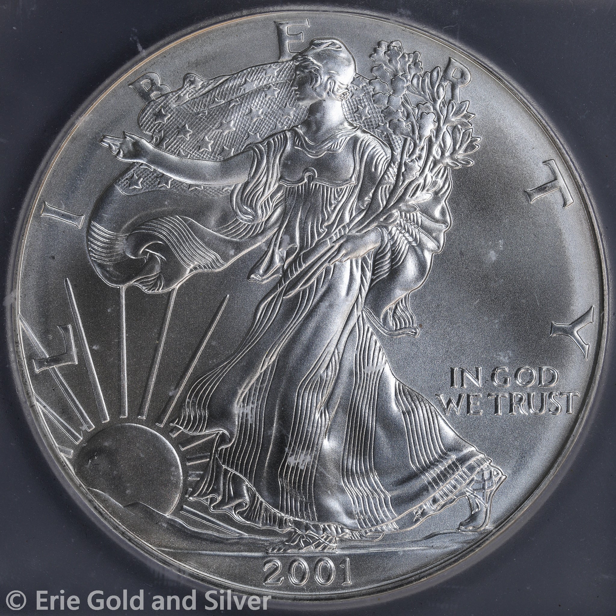 2001 $1 American Silver Eagle ICG MS 69 | Strike Thru Error